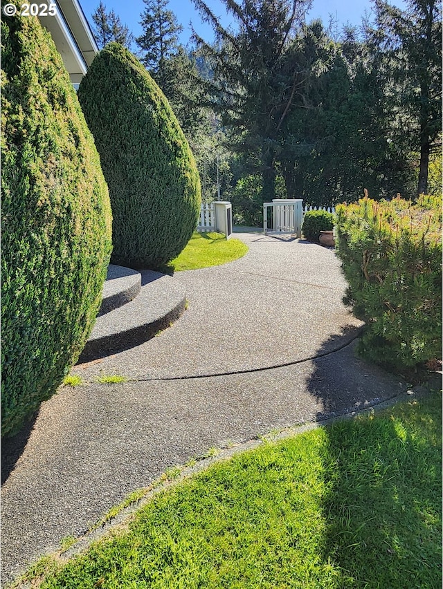 94342 Gauntlett St, Gold Beach, OR 97444 - view of yard