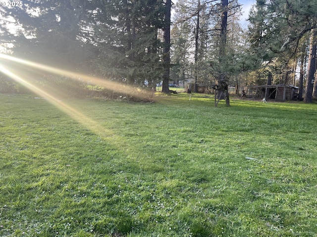 25821 Jeans Rd, Veneta, OR 97487 - view of yard