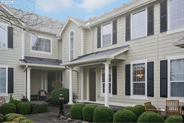 view of front facade featuring a shingled roof and covered porch