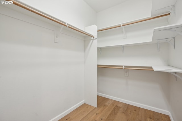 spacious closet with light wood finished floors