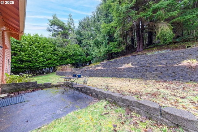 view of yard featuring a patio