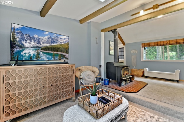 625 Wilson Rd, Mosier, OR 97040 - living room featuring a wood stove and carpet flooring