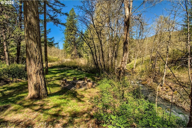625 Wilson Rd, Mosier, OR 97040 - view of nature