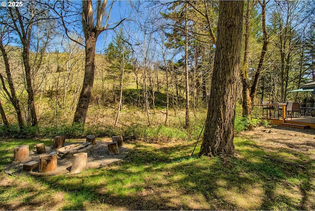 625 Wilson Rd, Mosier, OR 97040 - view of yard featuring a wooden deck