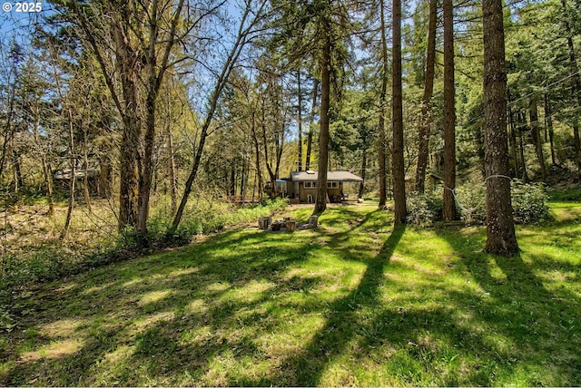 625 Wilson Rd, Mosier, OR 97040 - view of green lawn