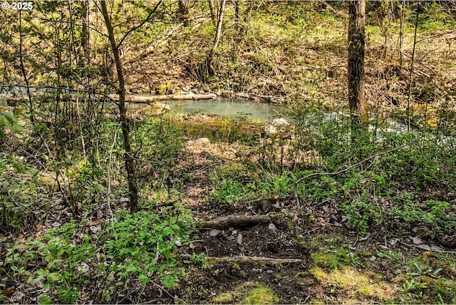 625 Wilson Rd, Mosier, OR 97040 - view of local wilderness