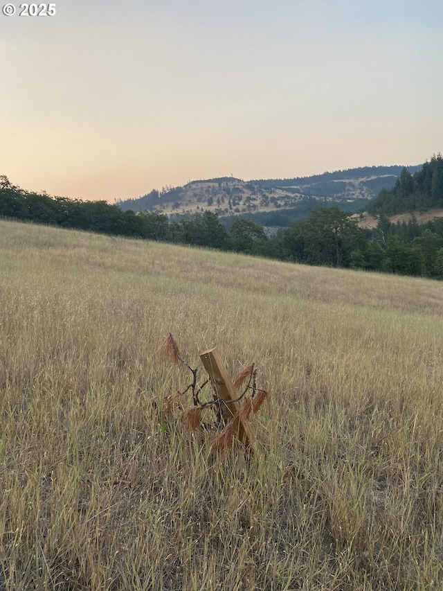 625 Wilson Rd, Mosier, OR 97040 - mountain view featuring rural landscape