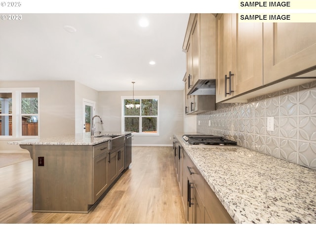 16513 SE Smith Rock St Unit 732, Happy Valley, OR 97086 - kitchen featuring a sink, light wood-style flooring, baseboards, stainless steel appliances, and under cabinet range hood