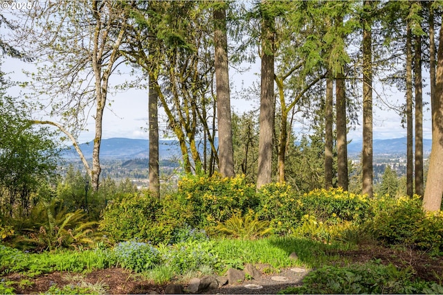 2405 Blacktail Dr, Eugene, OR 97405 - water view featuring a mountainous background