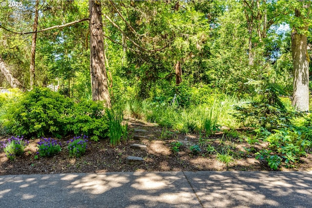 2405 Blacktail Dr, Eugene, OR 97405 - view of yard with a forest view