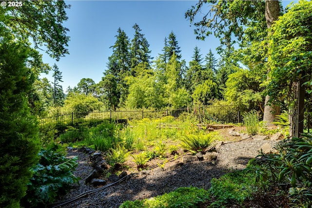 2405 Blacktail Dr, Eugene, OR 97405 - view of nature