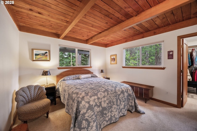 231 E Dunoon Pl, Shelton, WA 98584 - bedroom featuring light carpet, multiple windows, beam ceiling, a spacious closet, and baseboards