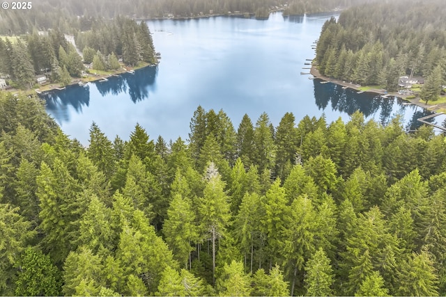 231 E Dunoon Pl, Shelton, WA 98584 - drone / aerial view of a large body of water and a forest