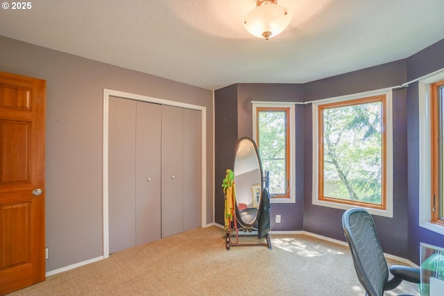 carpeted office with baseboards