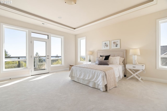 bedroom with a tray ceiling, multiple windows, access to exterior, and light carpet