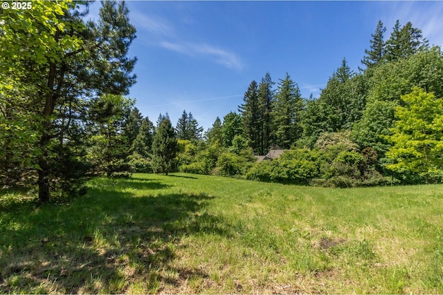 448 NW Skyline Blvd, Portland, OR 97229 - view of yard featuring a view of trees
