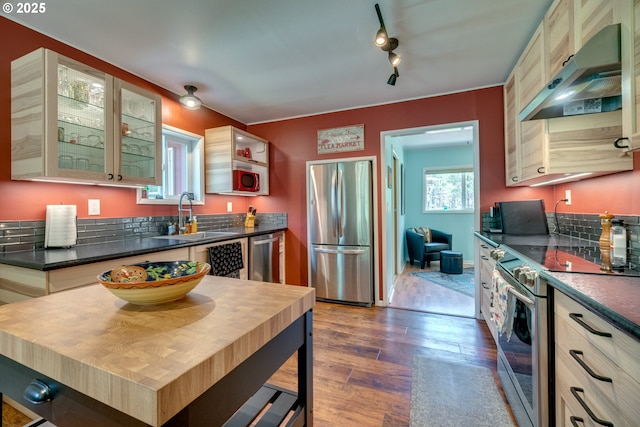 kitchen featuring wood finished floors, a sink, under cabinet range hood, appliances with stainless steel finishes, and dark countertops