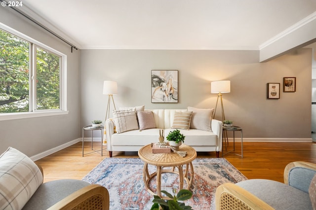 living room with ornamental molding and hardwood / wood-style flooring