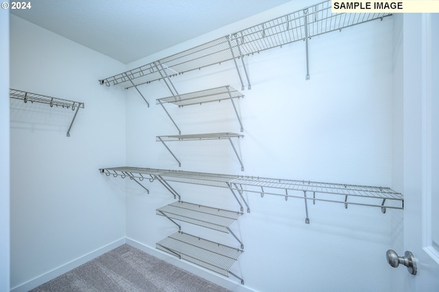 18615 NE 41st Pl Lot 288, Vancouver, WA 98686 - walk in closet with carpet floors
