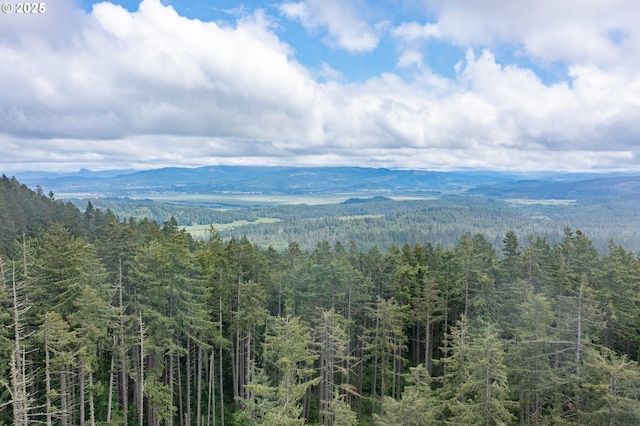 895 Pine Forest Dr, Eugene, OR 97405 - view of mountain background with a heavily wooded area