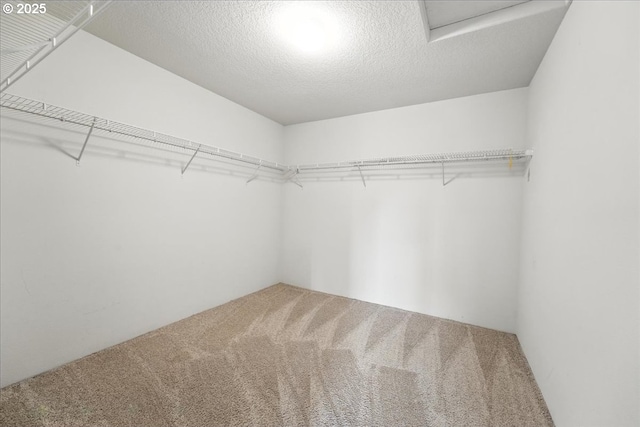 2103 SE 18th Aly, Gresham, OR 97080 - spacious closet with carpet