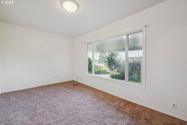 empty room featuring carpet