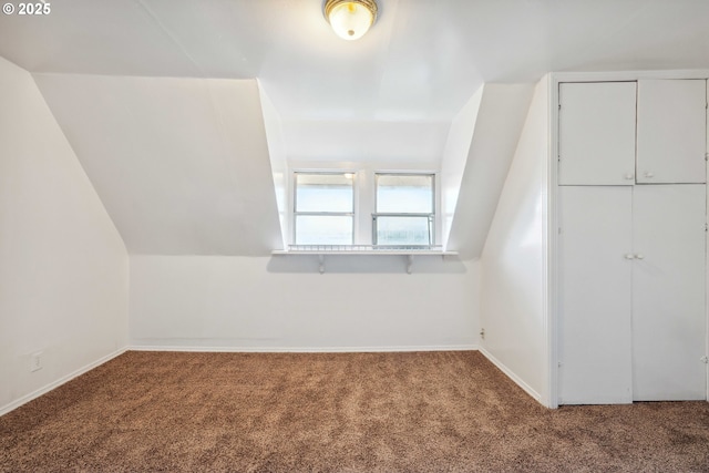 additional living space with vaulted ceiling and carpet