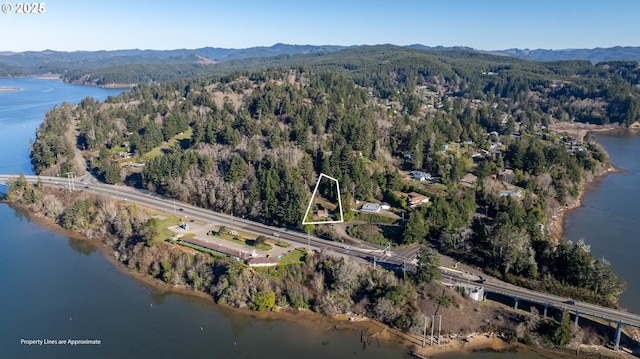 drone / aerial view with a water and mountain view