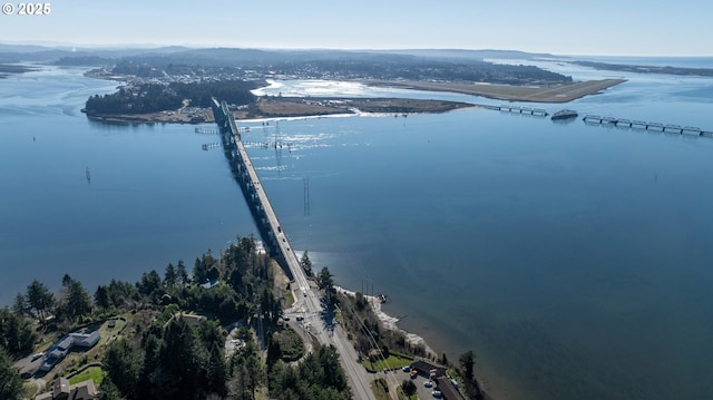 bird's eye view with a water view