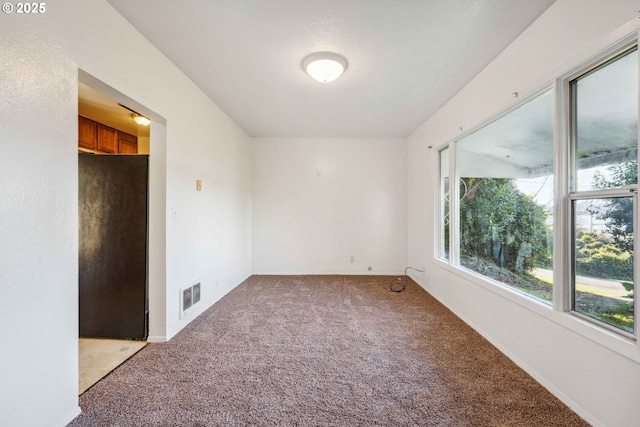 unfurnished room featuring light carpet