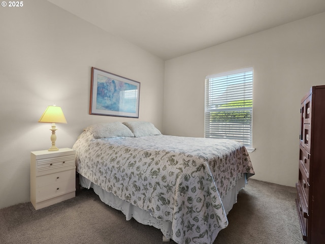 90637 Lewis Rd, Warrenton, OR 97146 - bedroom featuring dark carpet