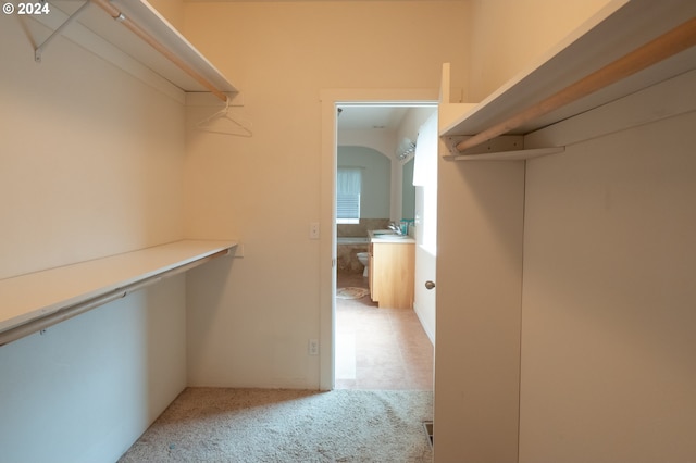 spacious closet with light colored carpet