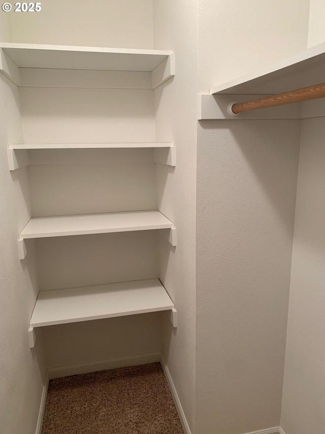 walk in closet featuring carpet