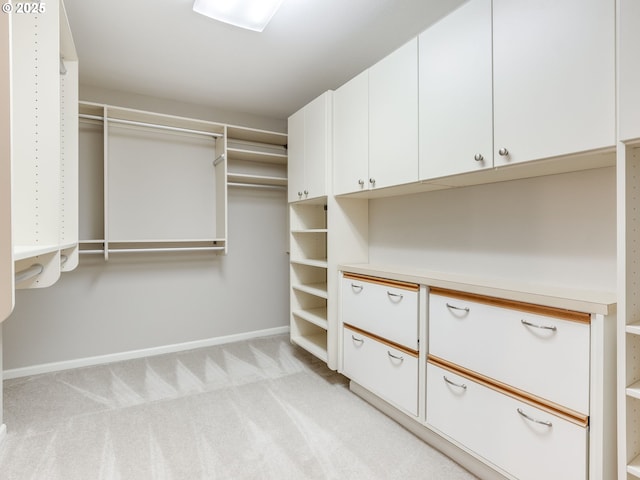 6903 SE Riverside Dr Unit 20, Vancouver, WA 98664 - walk in closet with light carpet