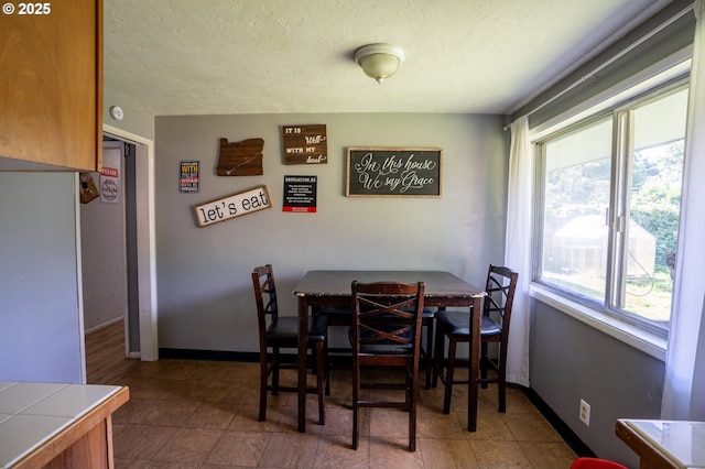dining room featuring baseboards and a textured ceiling