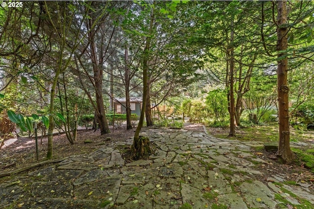 9150 SW Salmon St, Portland, OR 97225 - view of yard