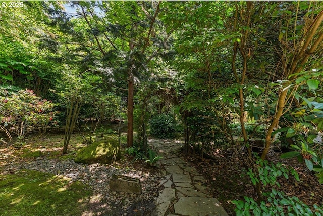 9150 SW Salmon St, Portland, OR 97225 - view of wooded area