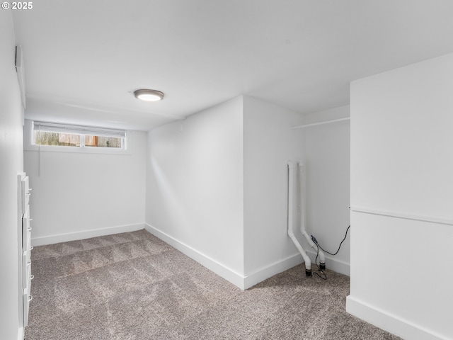 basement with carpet floors