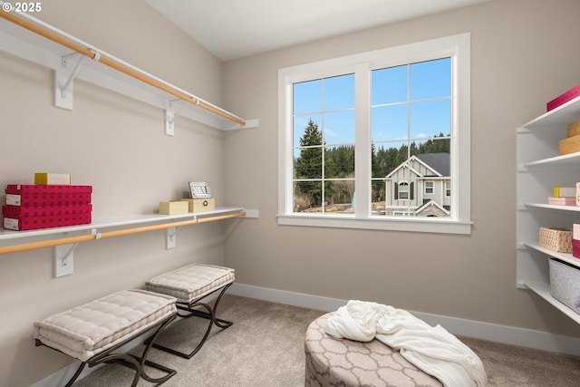 17641 NW Layla Dr, Portland, OR 97229 - sitting room with carpet floors and baseboards