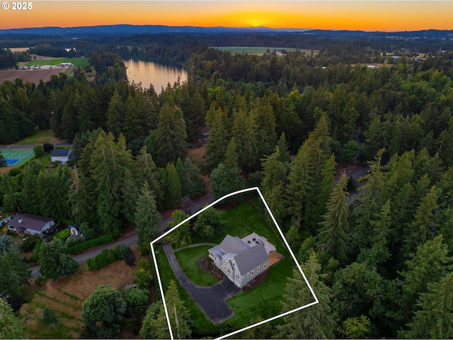 aerial view at dusk with a water view