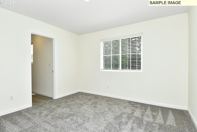 unfurnished room with carpet floors