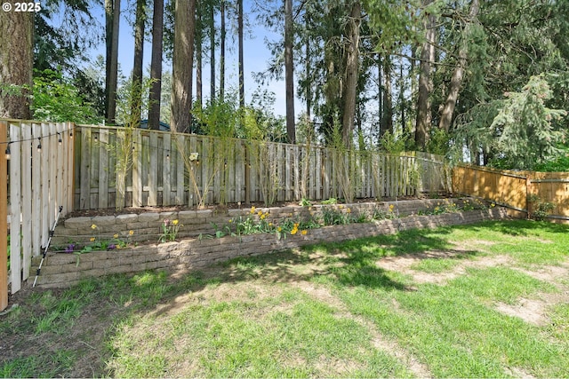 view of yard featuring a fenced backyard