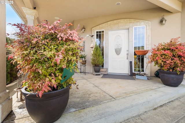 view of exterior entry with stucco siding