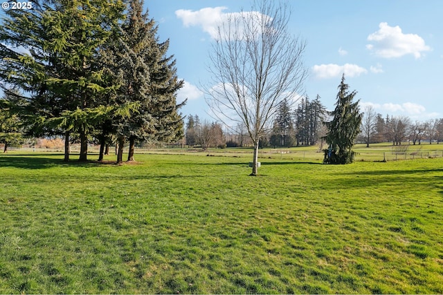 view of yard with a rural view