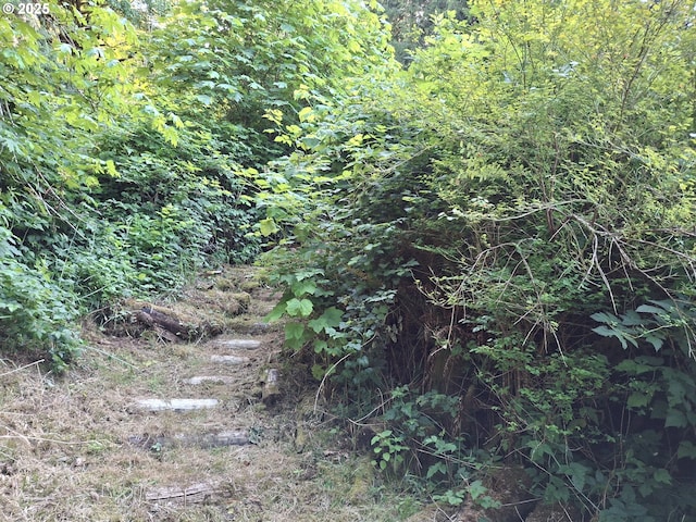 747 N Tenmile, Lakeside, OR 97449 - view of nature