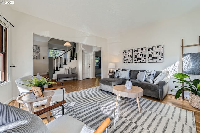 living room featuring hardwood / wood-style floors