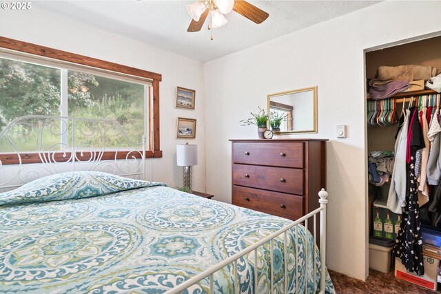 11754 Colvin Rd, Clatskanie, OR 97016 - carpeted bedroom featuring a closet and a walk in closet