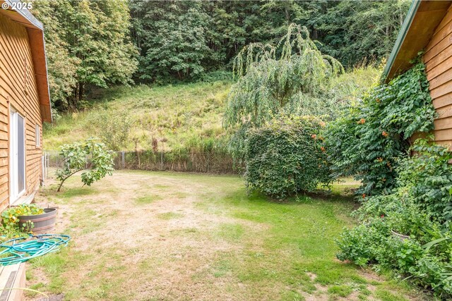 11754 Colvin Rd, Clatskanie, OR 97016 - view of yard