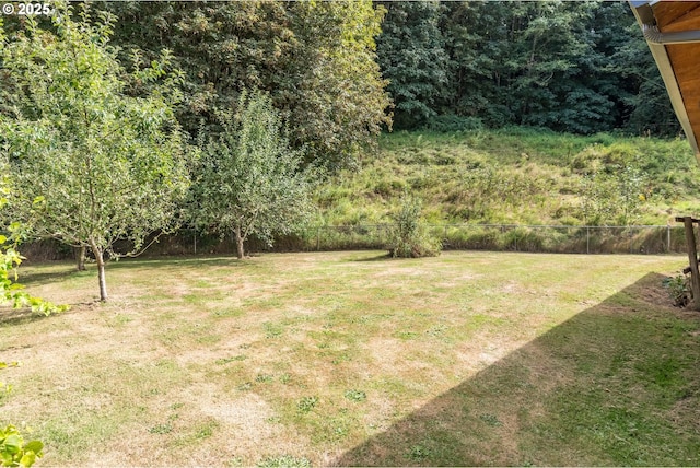11754 Colvin Rd, Clatskanie, OR 97016 - view of yard