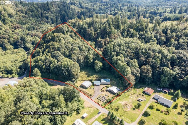 11754 Colvin Rd, Clatskanie, OR 97016 - view of property location with a forest and property boundaries highlighted